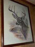 Framed Wildlife Art Prints by Ruane Manning - Deer Theme