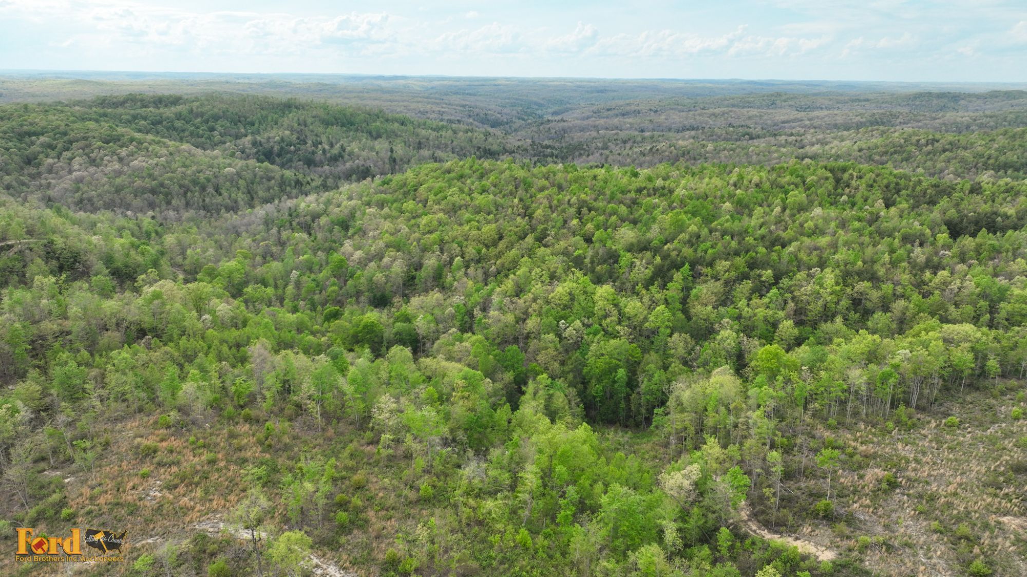 Lot image 9