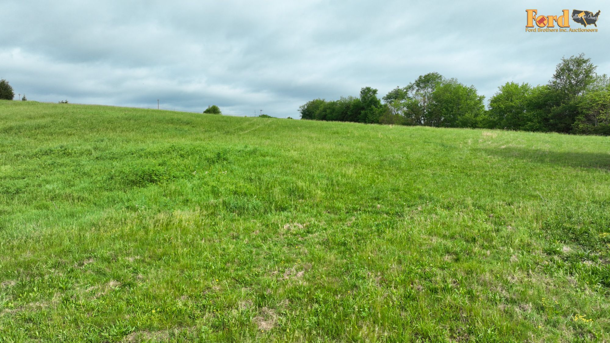 Lot image 66