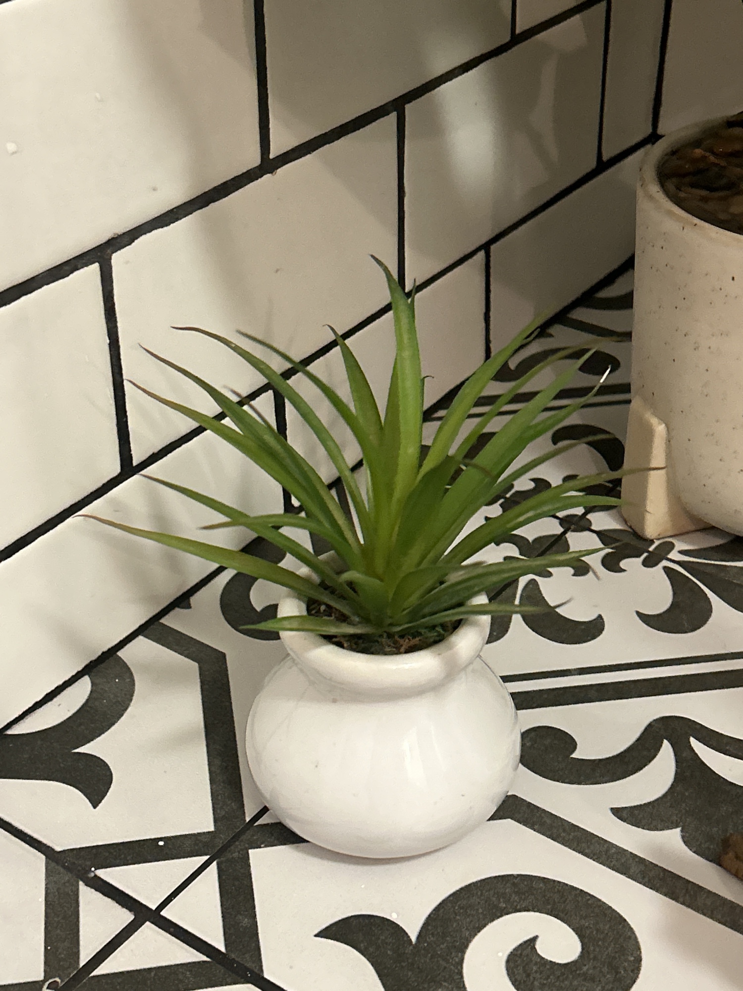 Lot image 4