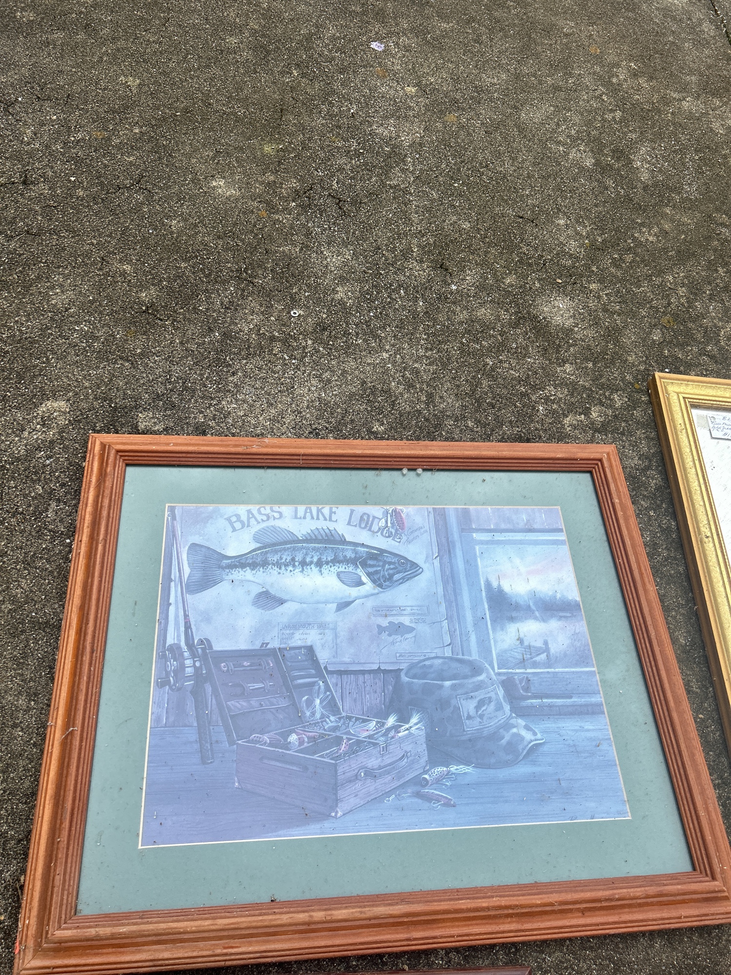 Lot image 5