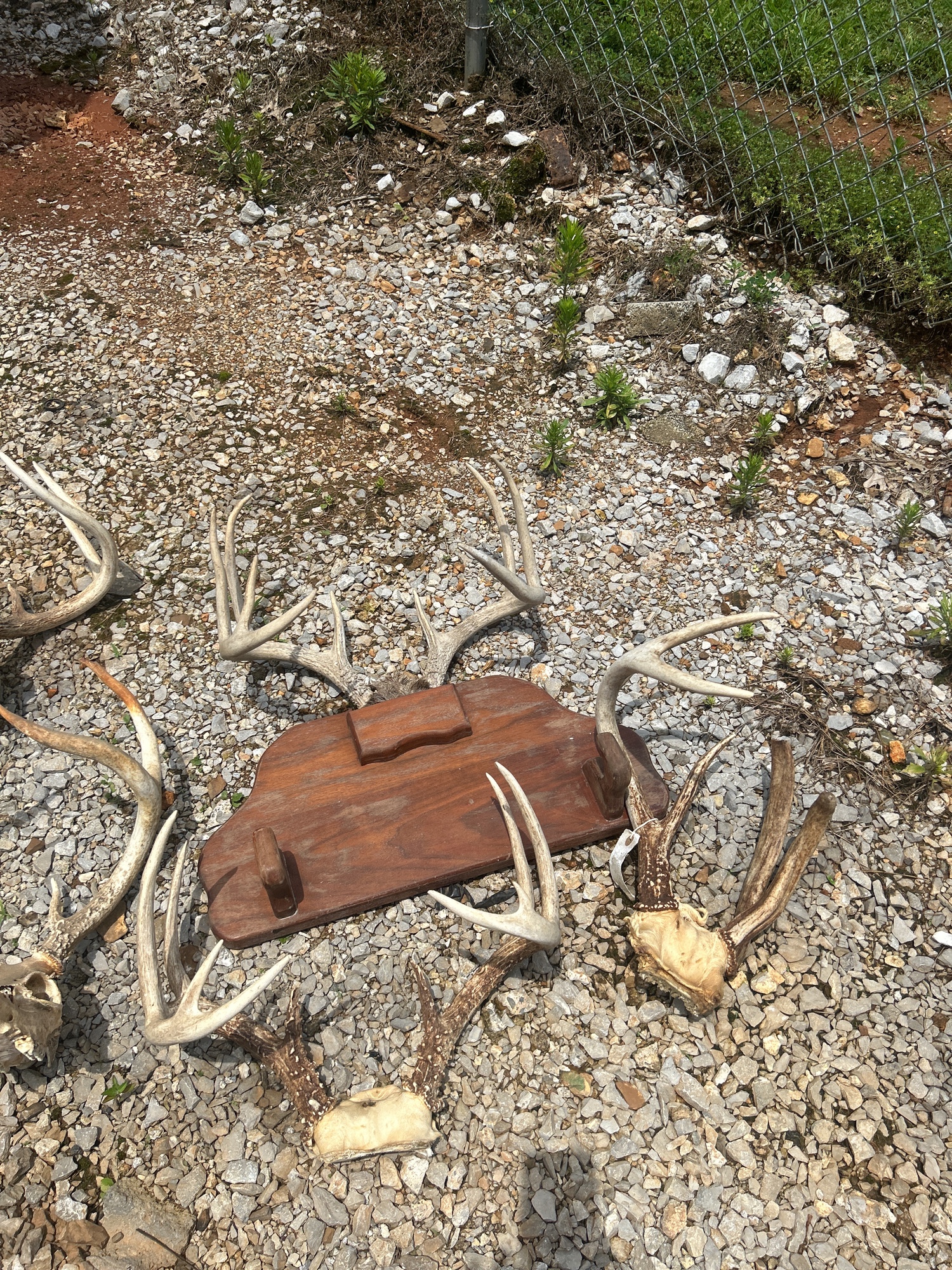 Lot image 4