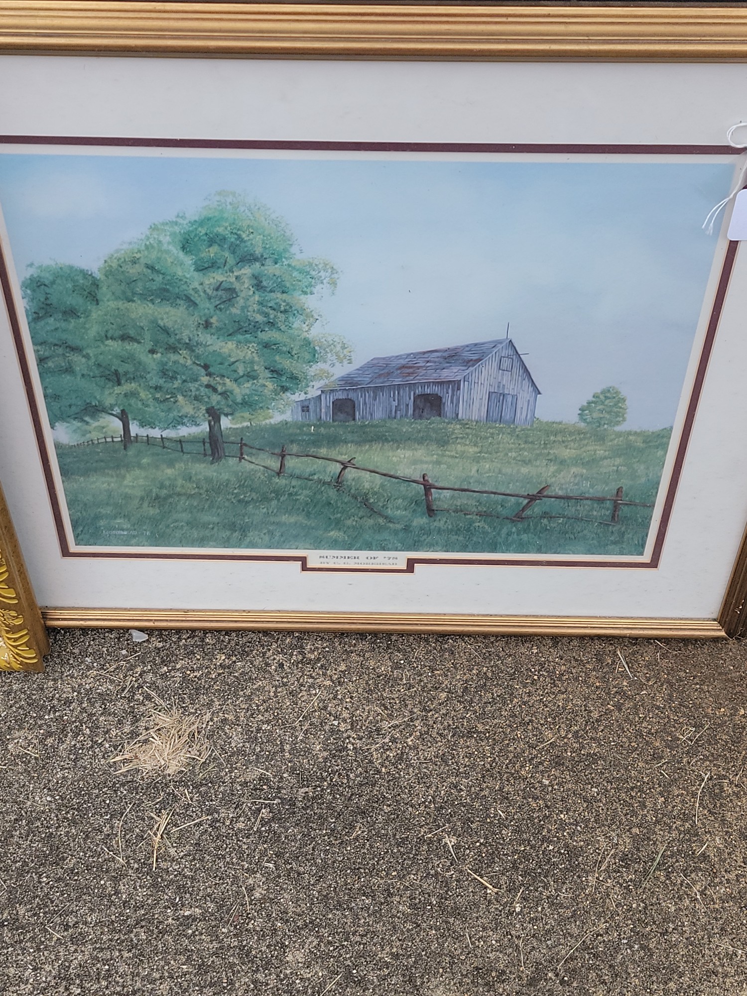 Lot image 6