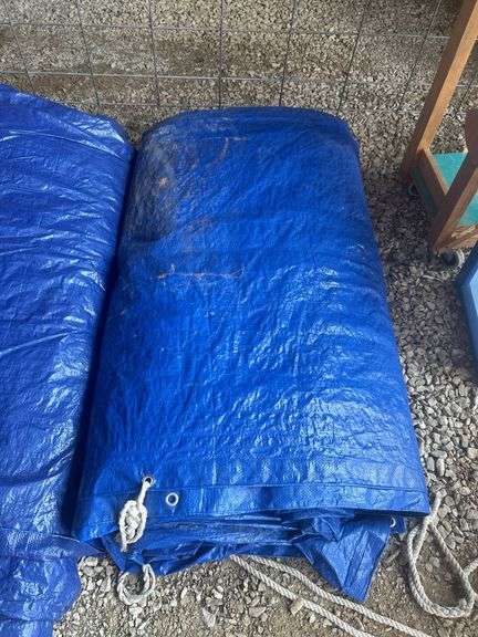 Blue Tarps