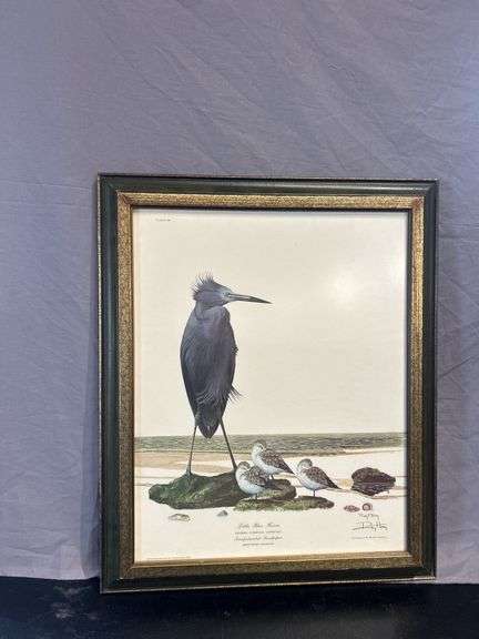 Framed "Little Blue Heron" Print by Ray Harm image