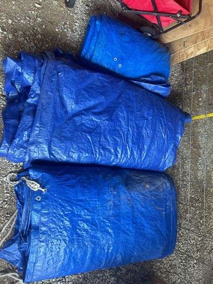 Blue Tarps image