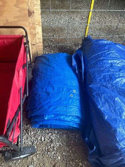Blue Tarps