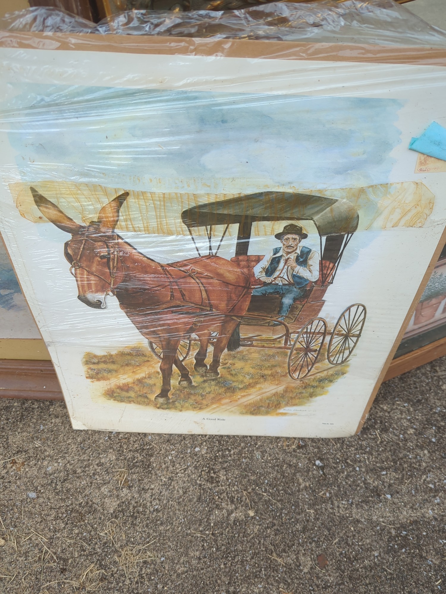 Lot image 12