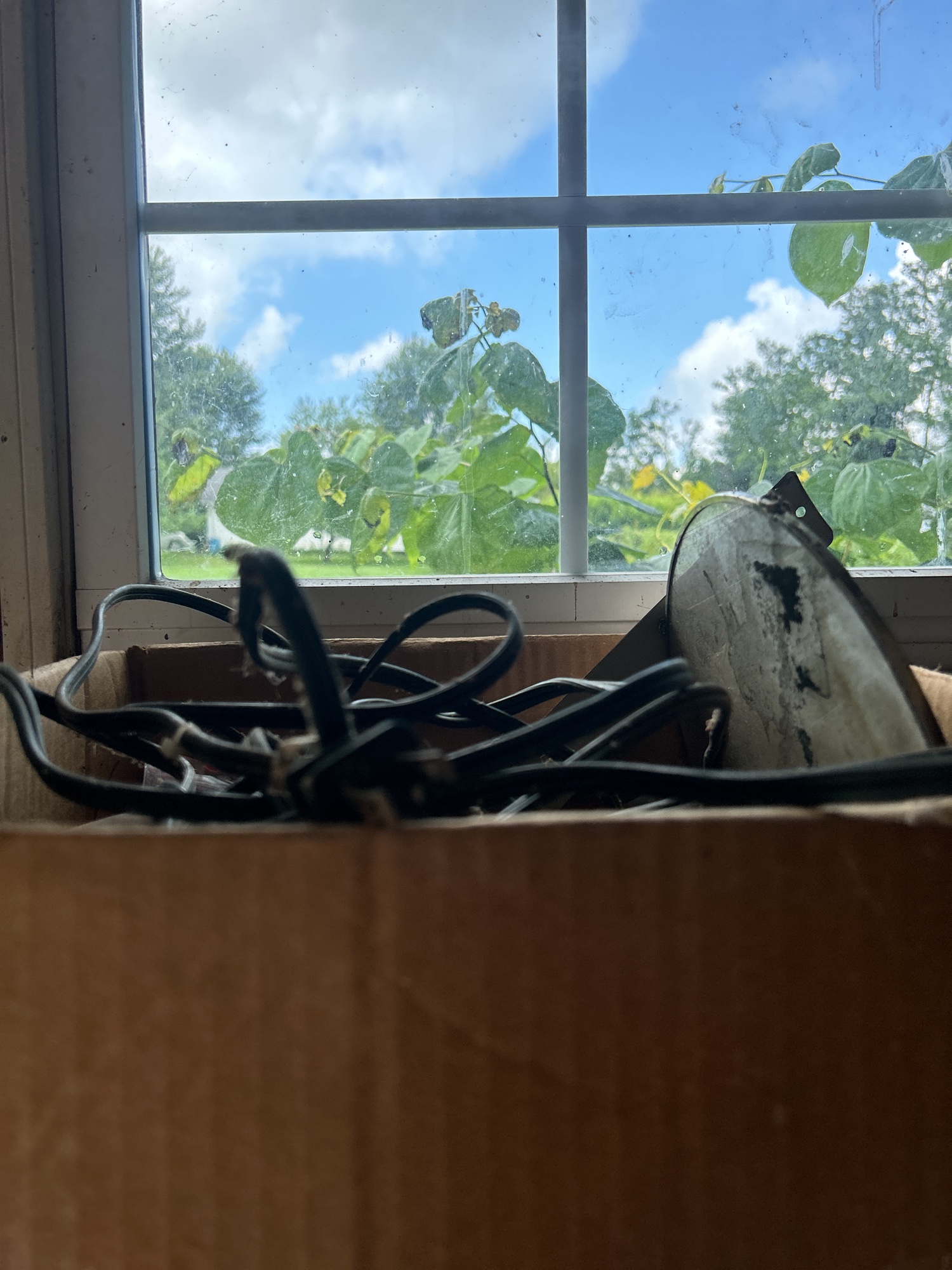 Lot image 8