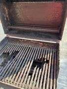 Weber Gas Grill with Side Shelves