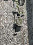 Wilson Golf Bag with Knight Evader Clubs and Golf Cart