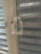 Lot of Four Screen Doors