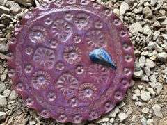 Miscellaneous Items: Dive Gear, Beach Accessories, Transfer Pump Kit