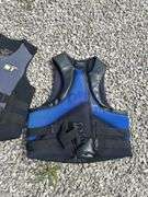 Two Adult Life Vests