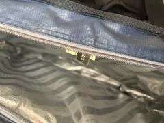 3 Titan and California Innovations Insulated Food Delivery Bags