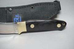 Colt Model CT338 Hunting Knife With Black Nylon Sheath,