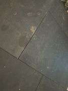 Rolled Rubber Gym Flooring and Floor Tiles