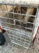 Multiquip Whiteman Mortar Mixer