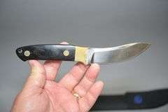 Colt Model CT338 Hunting Knife With Black Nylon Sheath,