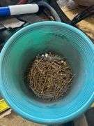 Assorted Lot of Tools and Household Items