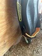 O'Brien Black Magic Retractable Fin System Kneeboard