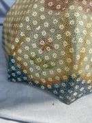 Textured Glass Lamp Shade