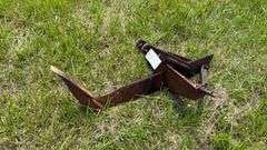 Farm Implement: Ripper Shank
