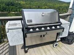 Weber Summit Gold Gas Grill