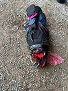 Wilson Golf Bag with Knight Evader Clubs and Golf Cart