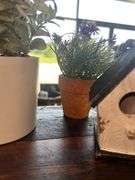 Rustic Wooden Display Riser with Assorted Decorative Items
