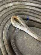 Large Diameter Cable/Rope