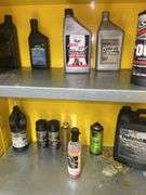 Justrite Flammable Liquid Storage Cabinet with Assorted Fluids and Supplies