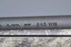 Remington Model 700 Bolt Action Camo Rifle In .243 WIN Caliber,