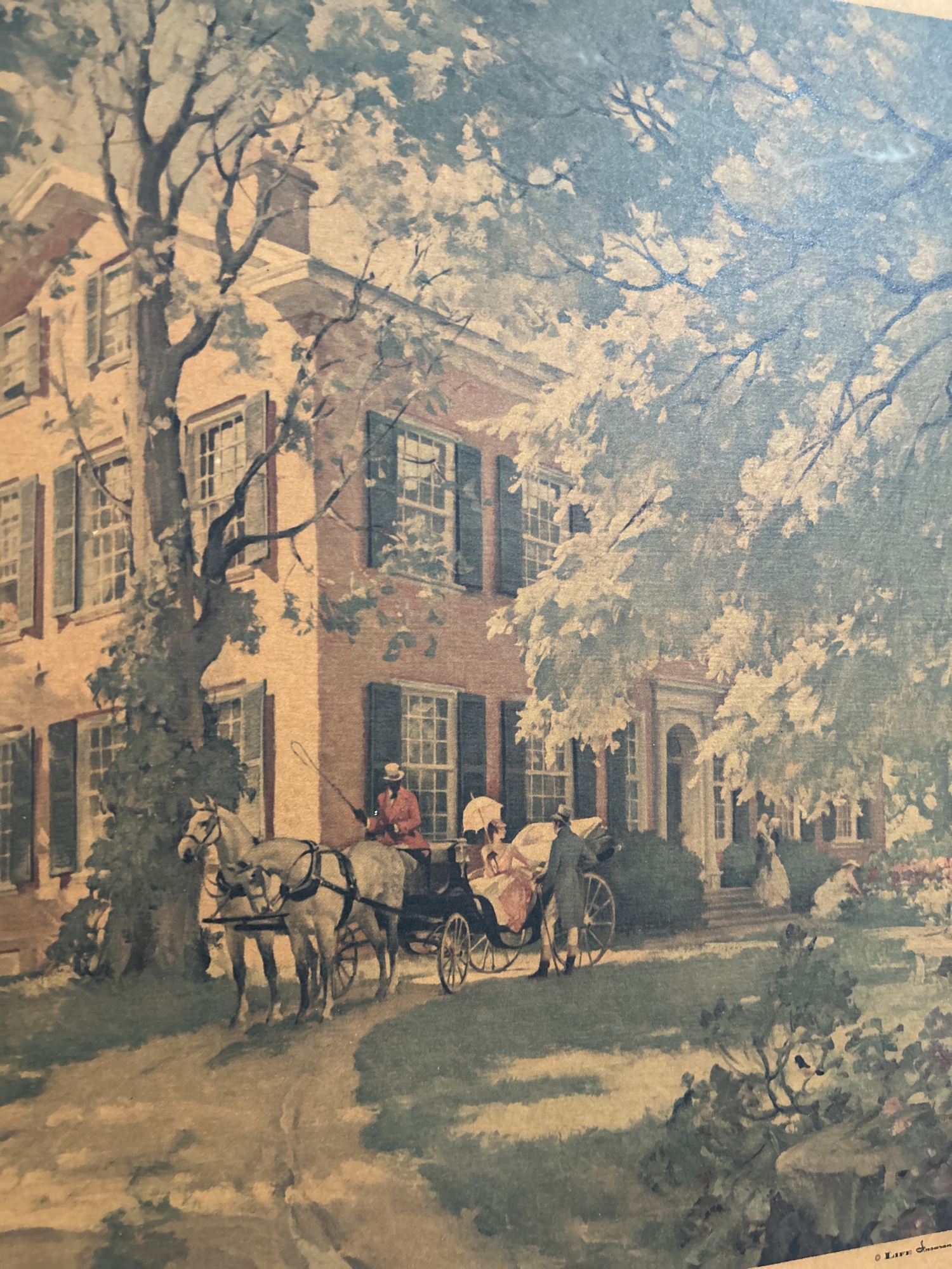 Lot image 5