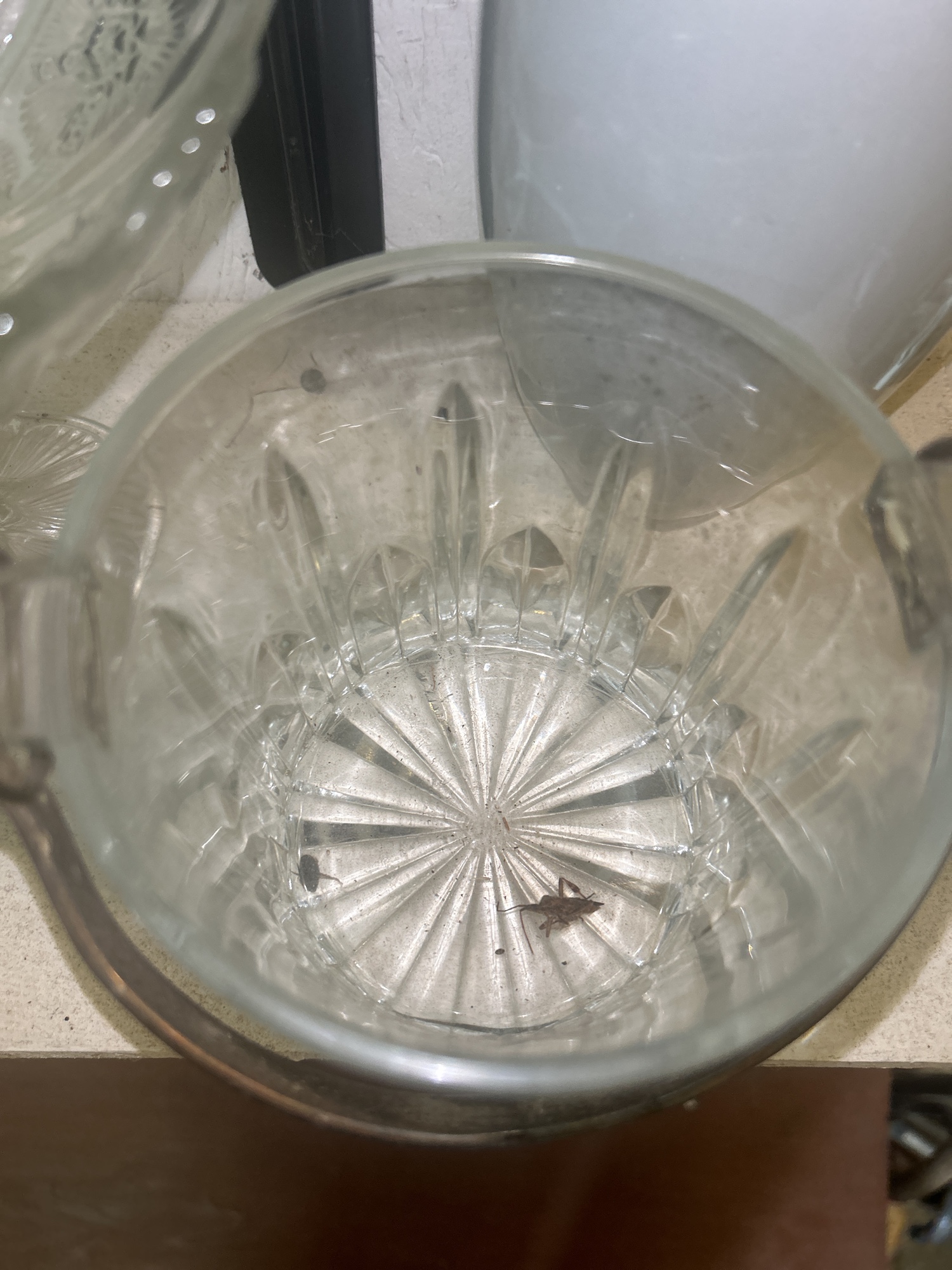 Lot image 6