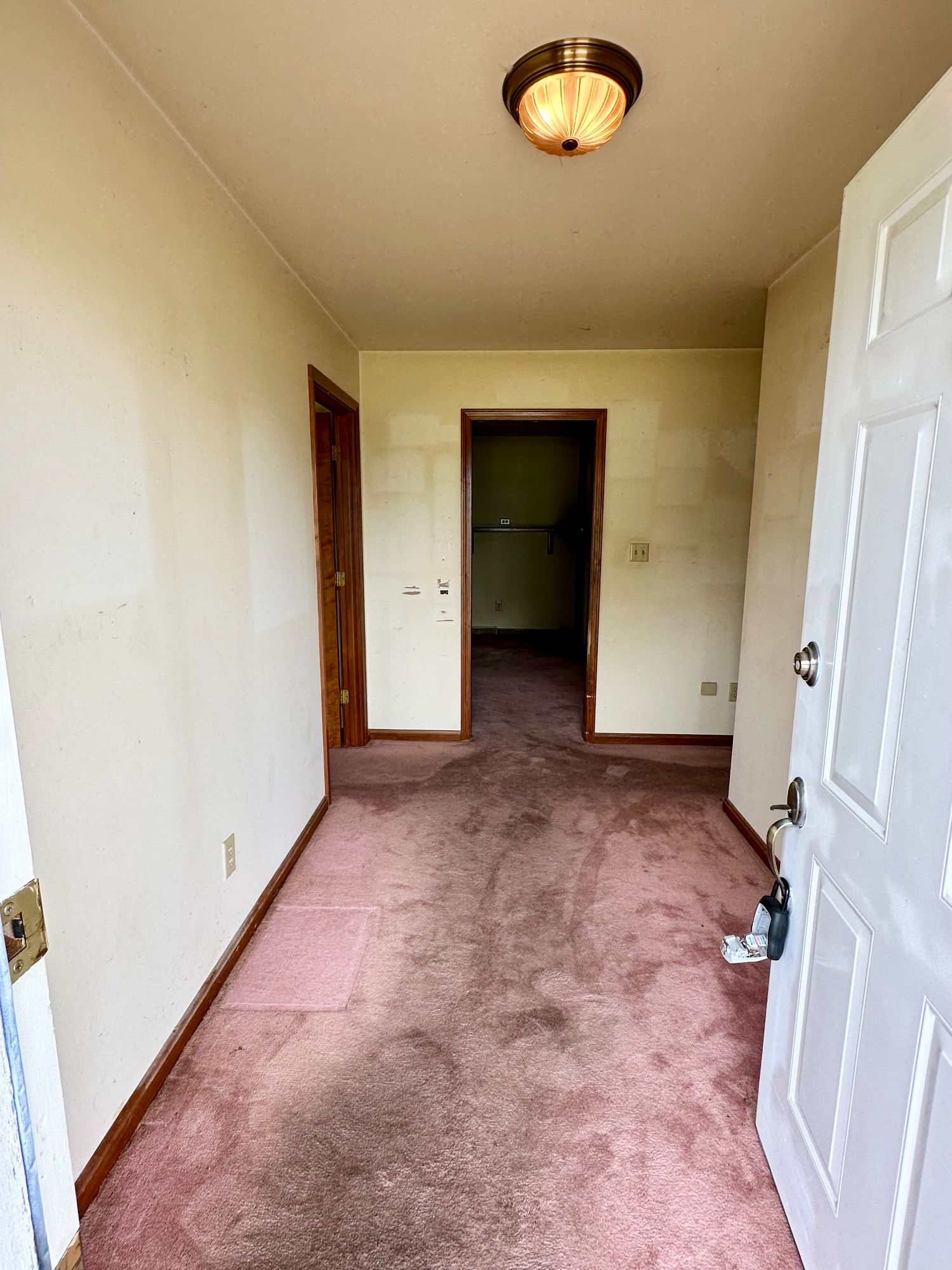 Lot image 11