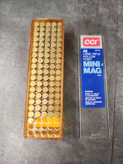 22 CALIBER AMMO