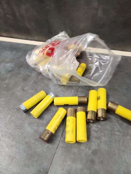 20 GAUGE SHOTGUN SHELLS