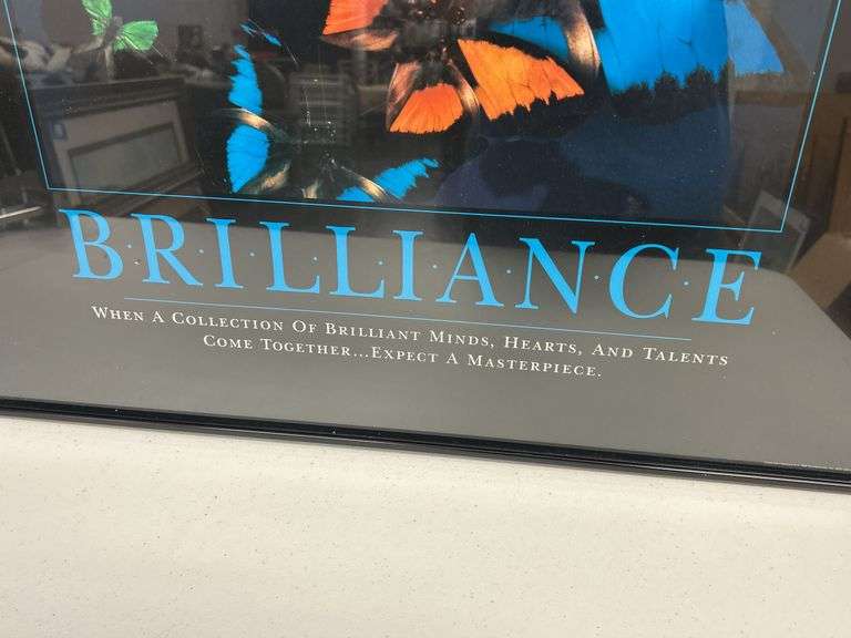 Framed 'Brilliance' Butterfly Graphic Print