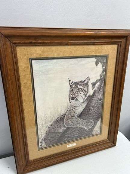 Framed "Kentucky Wildcat" Lynx Rufus Print by Steve Stolarz