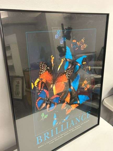 Framed 'Brilliance' Butterfly Graphic Print