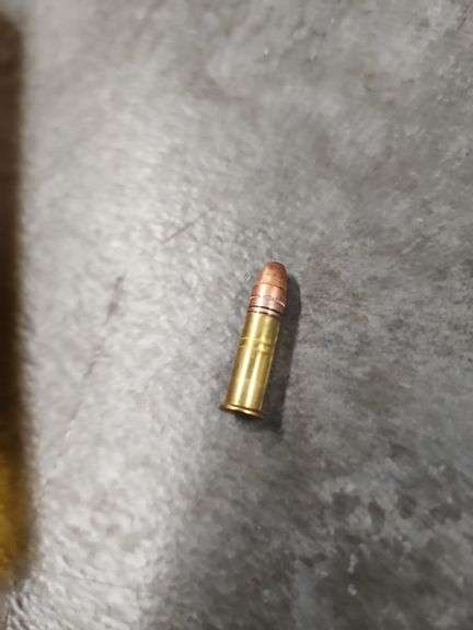 22 CALIBER AMMO