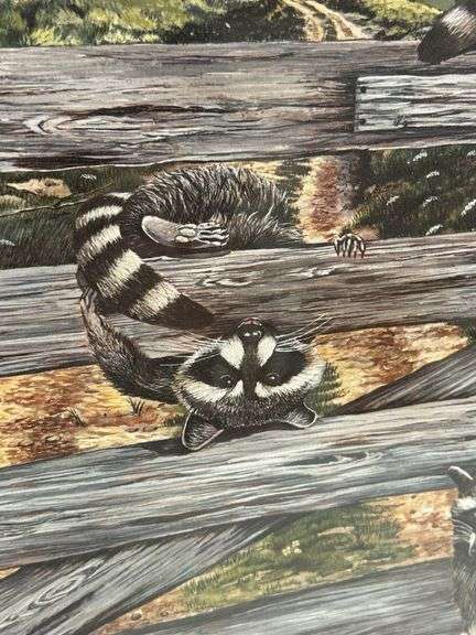 Framed Print of Raccoons on a Fence by Steve St. Clair