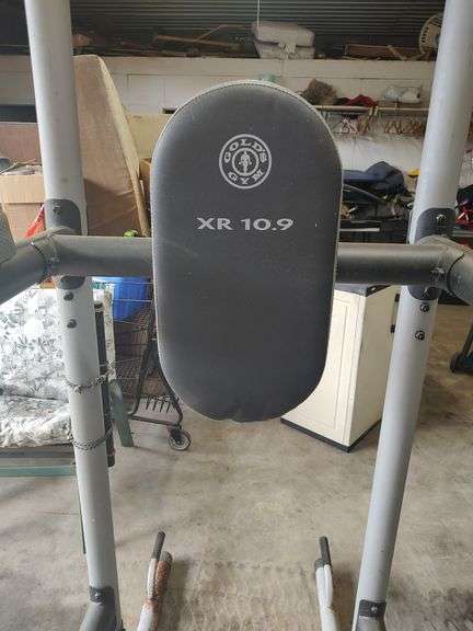 GOLDS GYM XR 10.9 POWER TOWER PULL UP BAR STATION