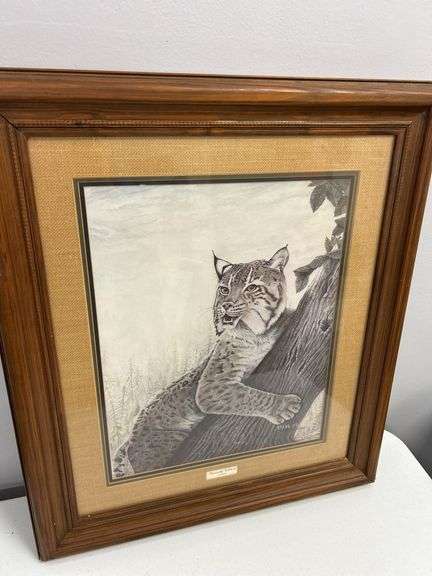 Framed "Kentucky Wildcat" Lynx Rufus Print by Steve Stolarz