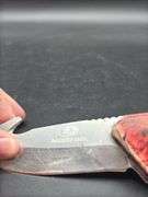 Mossy Oak Gut Hook Knife with Sheath