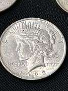 Three 1923 United States Peace Silver Dollars