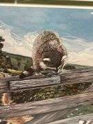 Framed Print of Raccoons on a Fence by Steve St. Clair