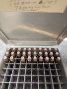 357 AMMO- MUZZLE LOAD BULLETS - SMALL RIFLE PRIMERS