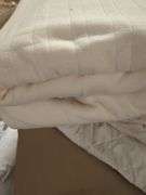Beautyrest Heated Blanket and Pillows Lot